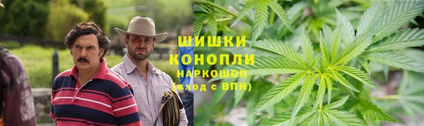 spice Бородино