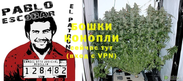 МДПВ Бронницы