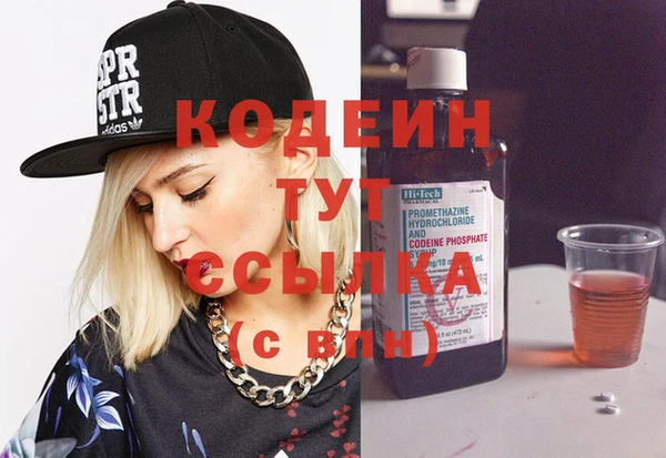 spice Бородино